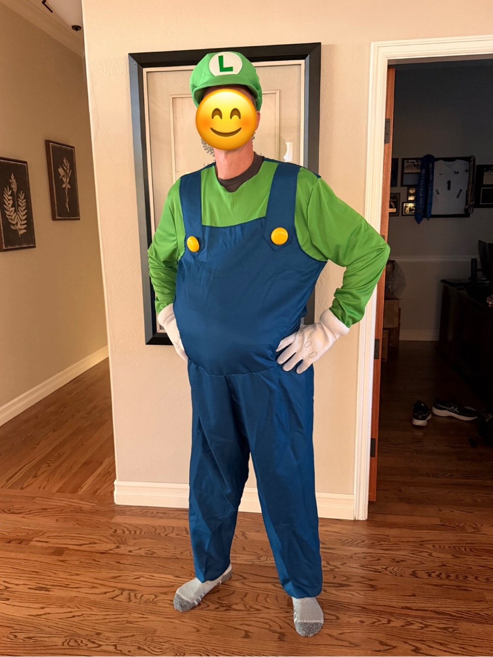 Luigi Mario Bros Halloween Costume adult plus size 2XL - like new